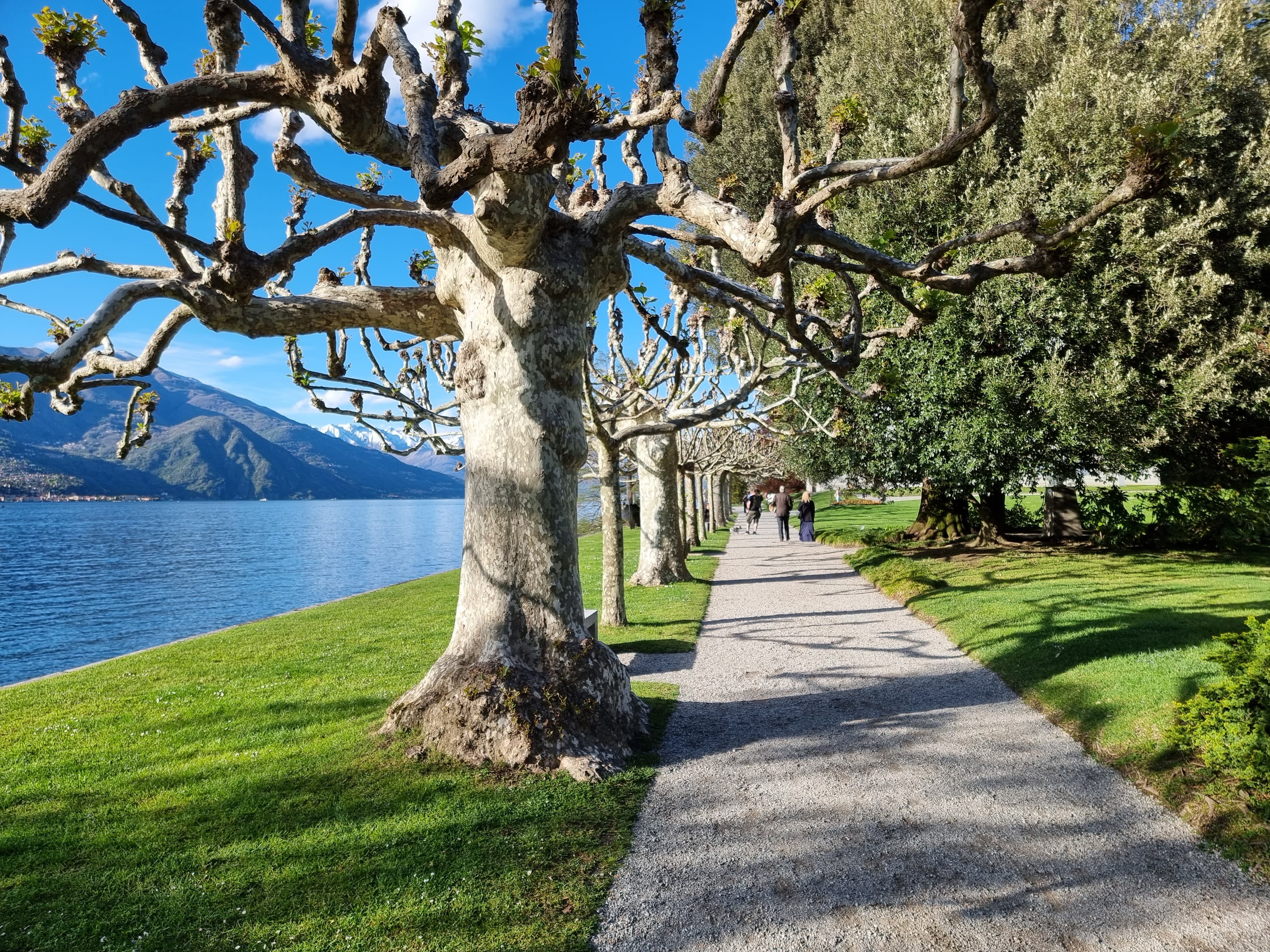 Ville e giardini
